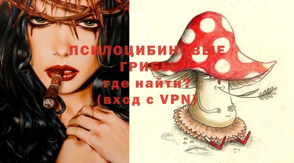 твердый Алзамай