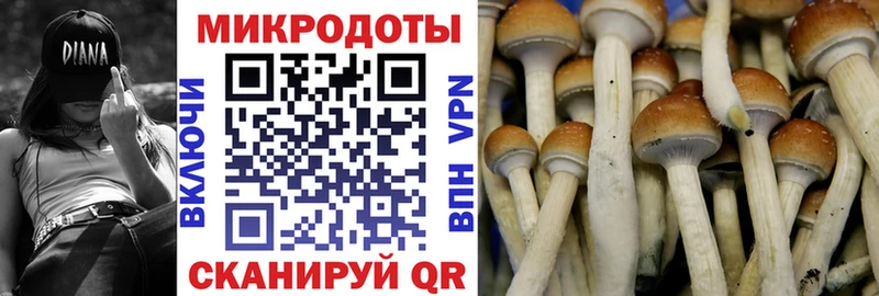 Галлюциногенные грибы Cubensis где купить наркоту kraken онион Нижние Серги